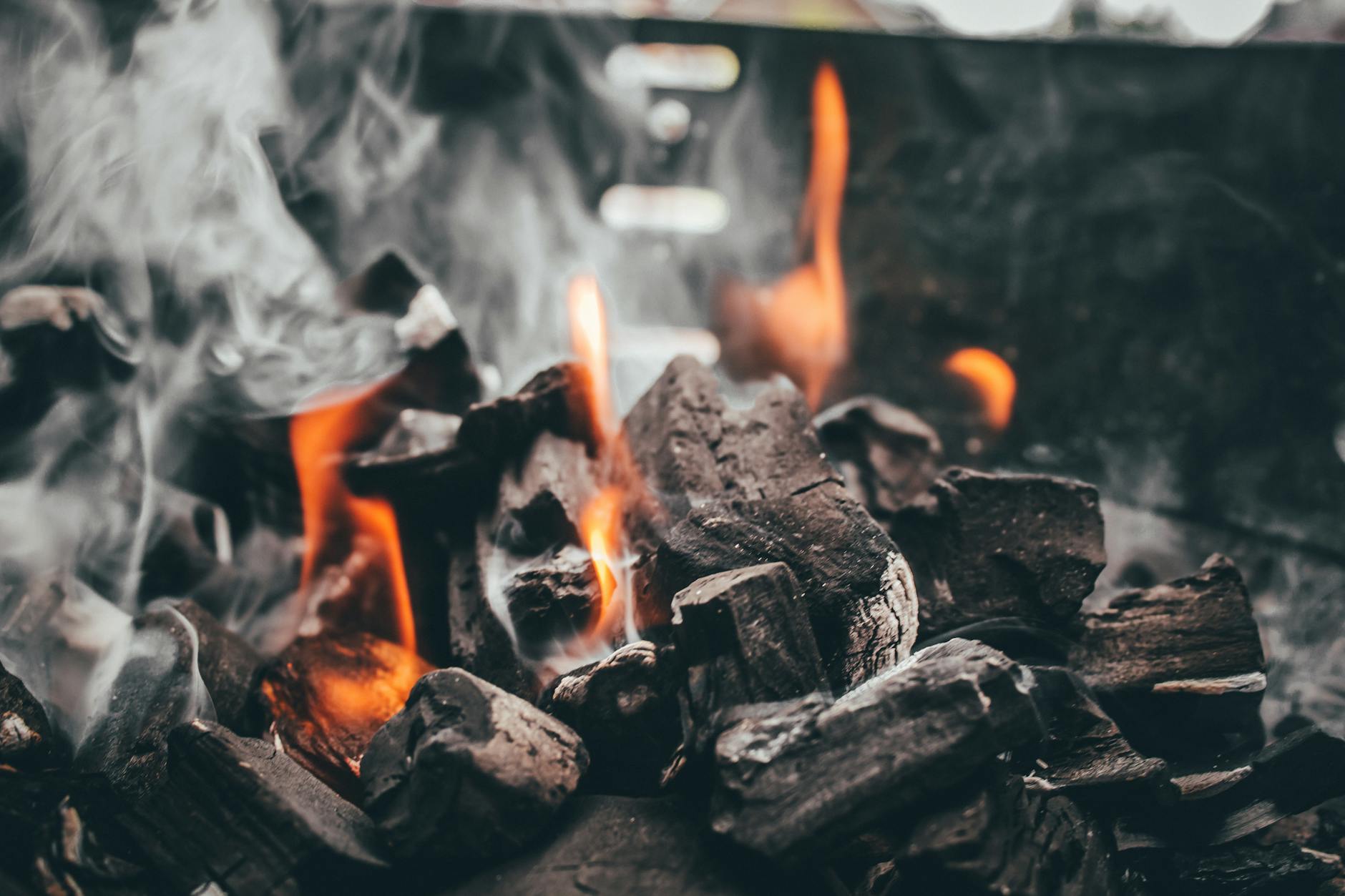 Pellet vs Charcoal: Which One Tastes Better?